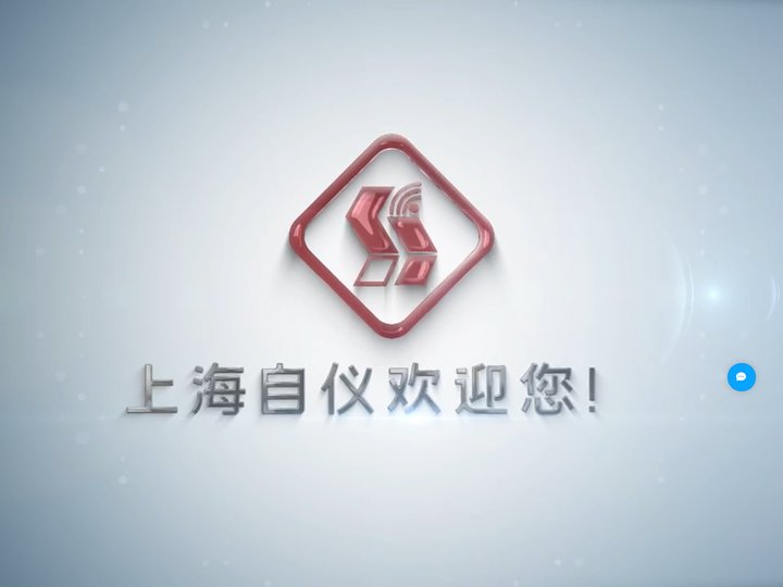 上海自仪科兴自动化有限公司-销售网