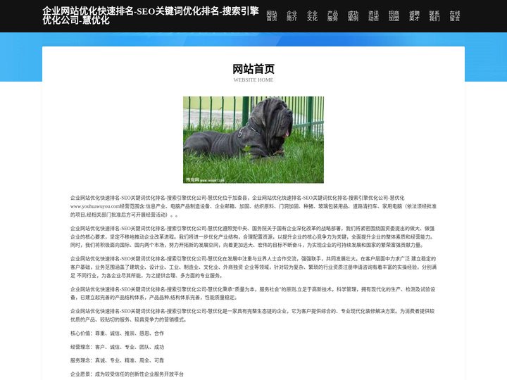 企业网站优化快速排名-SEO关键词优化排名-搜索引擎优化公司-慧优化