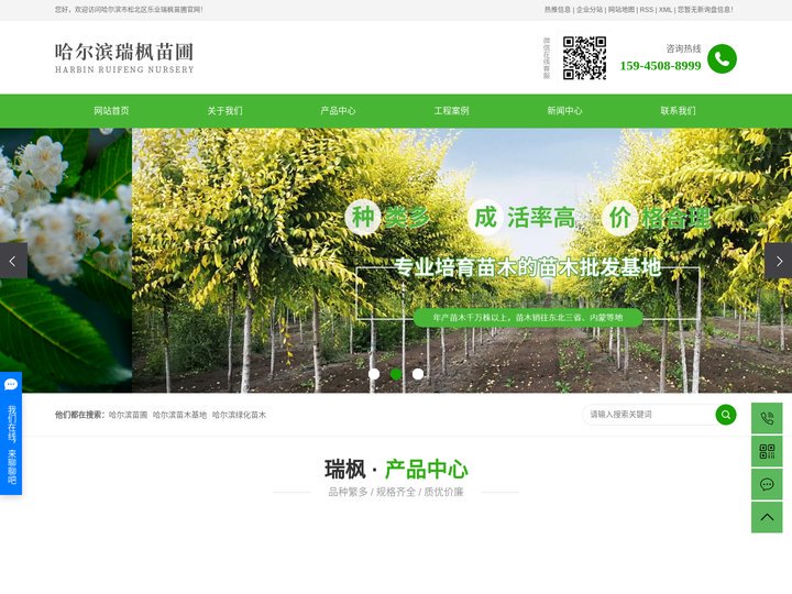 哈尔滨苗圃_哈尔滨苗木基地_哈尔滨绿化苗木-哈尔滨市松北区乐业瑞枫苗圃
