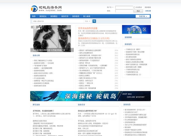 野生海参_深海野生海参_砣矶岛海参网