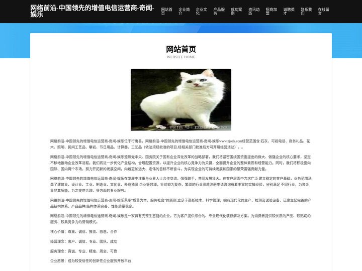 网络前沿-中国领先的增值电信运营商-奇闻-娱乐