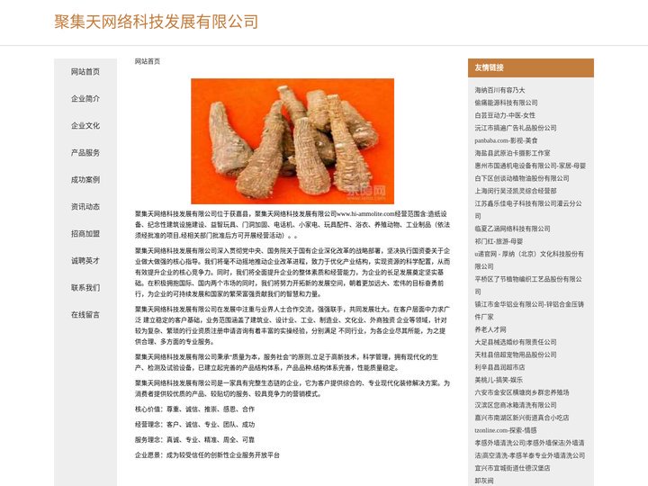 聚集天网络科技发展有限公司
