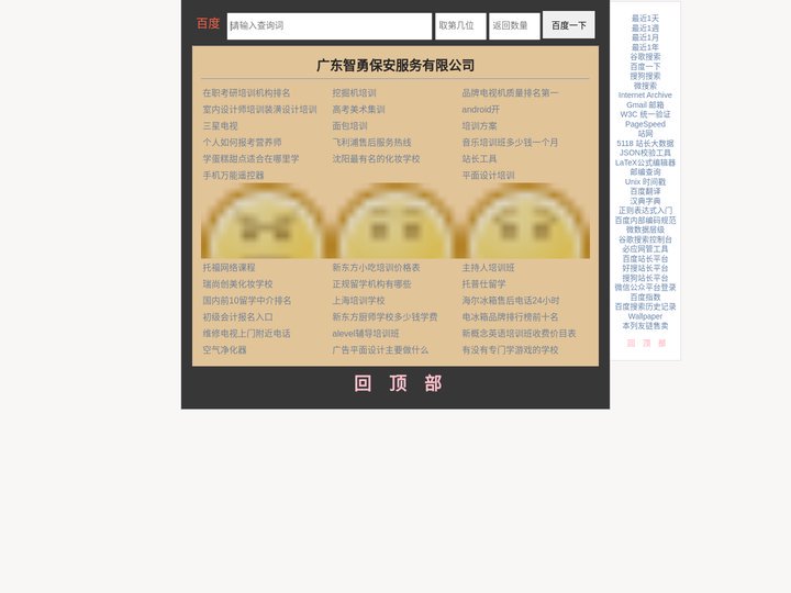 广东智勇保安服务有限公司