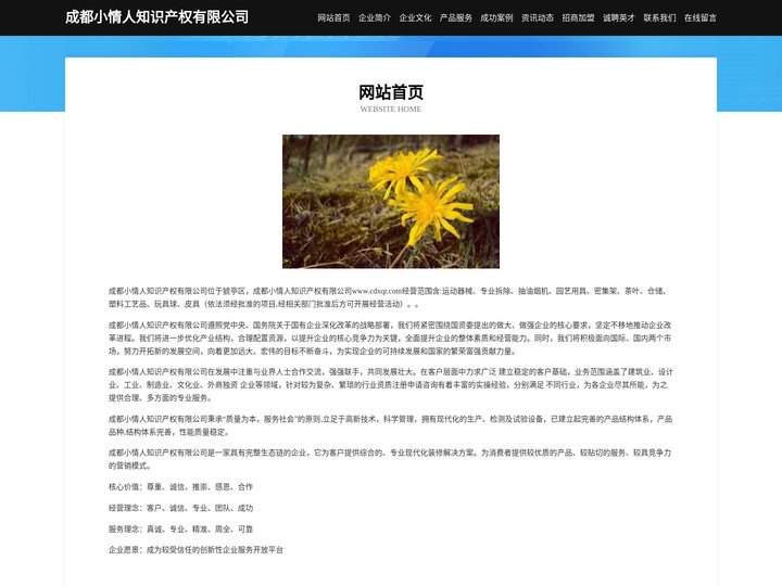 成都小情人知识产权有限公司