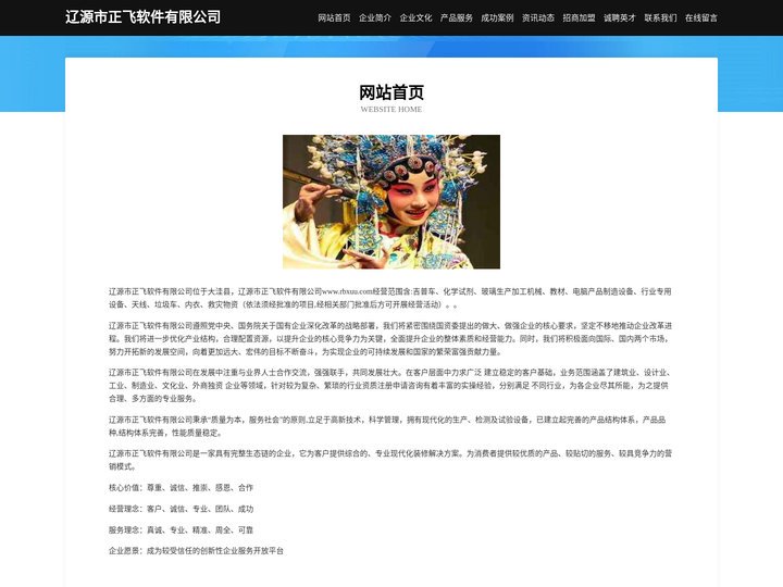 辽源市正飞软件有限公司
