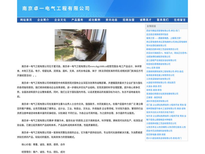 南京卓一电气工程有限公司