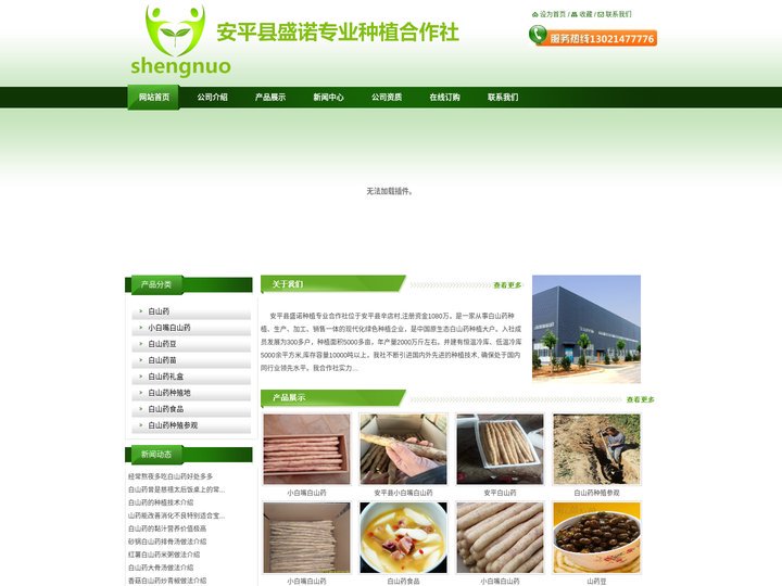 山药|白山药|小白嘴白山药-安平县盛诺种植专业合作社