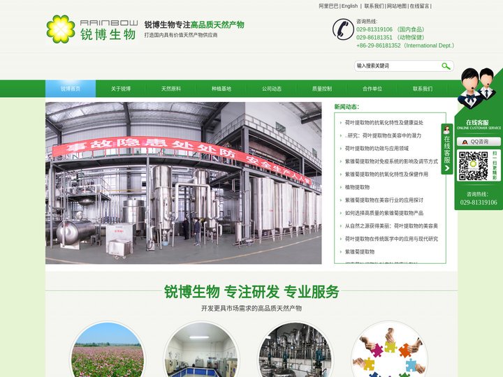 紫锥菊提取物-肉苁蓉提取物-桑叶提取物-西安锐博生物科技有限公司