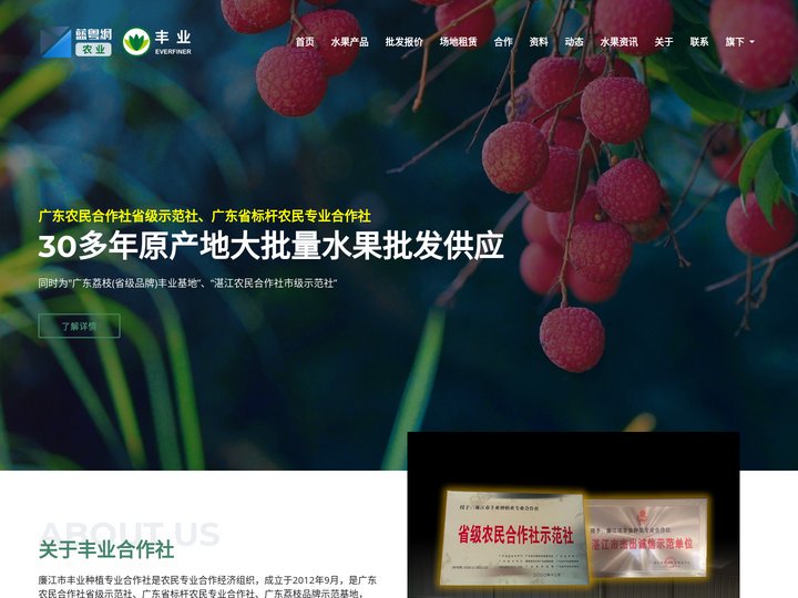 蓝粤网农业 | 廉江市丰业种植专业合作社官网 - 30多年原产地大批量水果批发供应 | 广东省级示范社 | 广东省标杆合