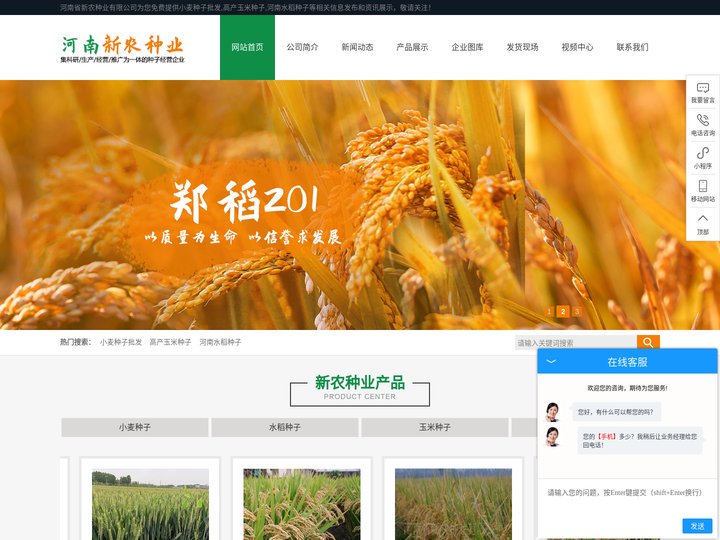 小麦种子批发-高产玉米种子-河南水稻种子-河南省新农种业有限公司