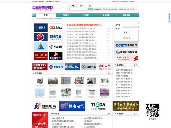 中国配电输电网