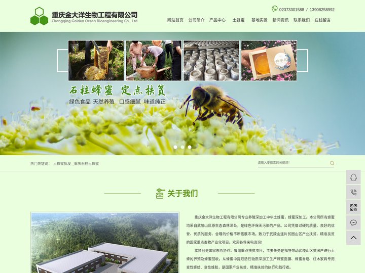 蜂蜜批发_重庆石柱土蜂蜜-重庆金大洋生物工程有限公司