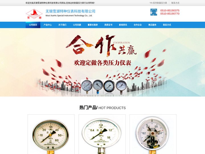 无锡压力表|耐震压力表-无锡雪湖特种仪表科技有限公司