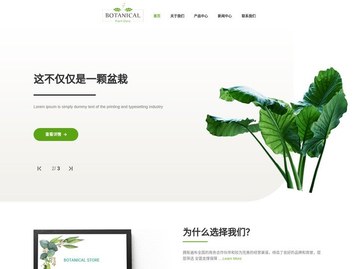 天津办公室花卉租赁_园艺花卉用品租赁_天津昊辰园艺有限公司