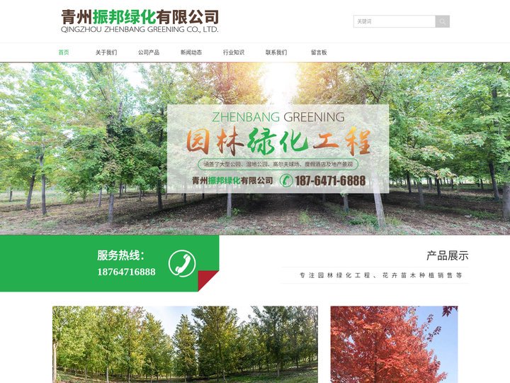 银白槭_欧丁香_彩叶豆梨_秋日梦幻_樱花海棠紫叶李-青州振邦绿化有限公司