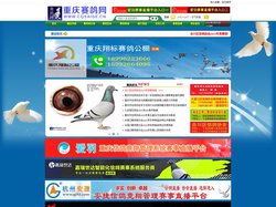 重庆赛鸽网_首页