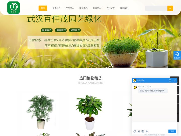 武汉植物租赁_武汉绿植租赁_武汉花卉租赁-武汉百佳茂园艺