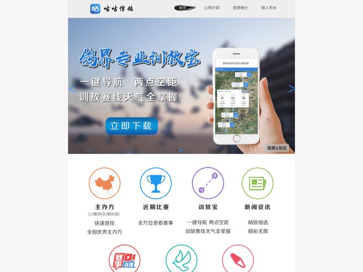 咕咕信鸽