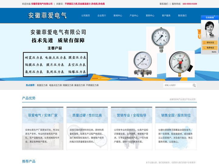 不锈钢压力表-耐震压力表-隔膜压力表厂家-安徽菲爱电气有限公司