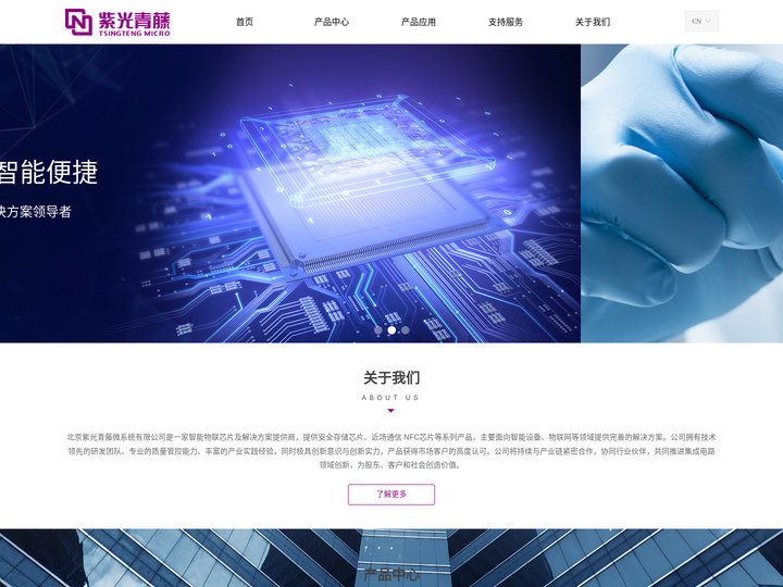 北京紫光青藤微系统有限公司