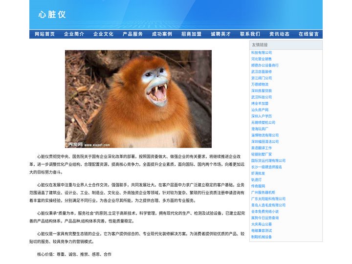 体外心脏仪，心脏监测仪品牌/图片/工厂，心脏监测仪厂家批发价格，心脏检测器，心跳机监护仪