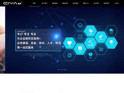 湖南思洋集团控股有限公司