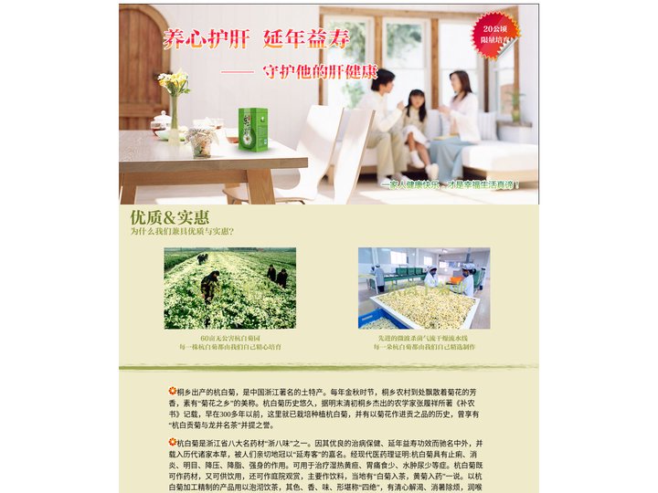 桐乡杭白菊(菊花茶)胎菊产地批发零售网