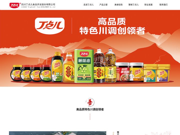 四川丁点儿食品开发股份有限公司