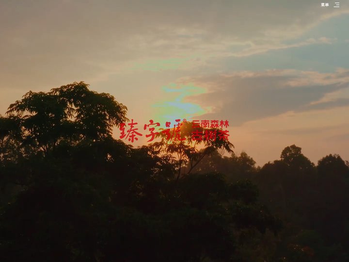 云南臻字号茶业有限责任公司