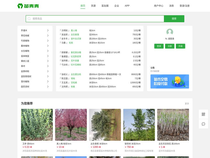 苗青青-苗木求购批发价格-苗木销售平台-园林绿化苗木网-青青花木网