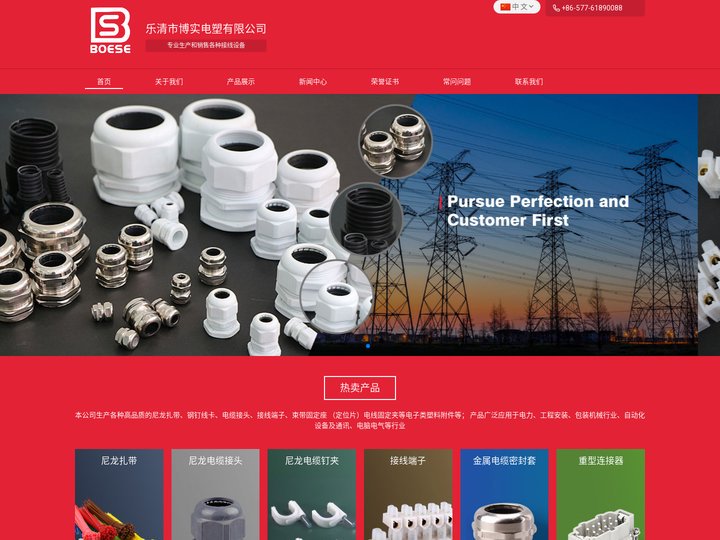 博实电塑生产尼龙扎带-塑料扎带-钢钉线卡的厂家-价格实惠-质量可靠