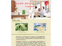 桐乡杭白菊(菊花茶)胎菊产地批发零售网