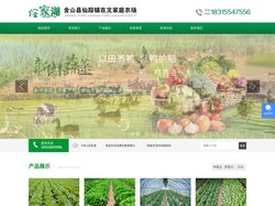 含山县仙踪镇在文家庭农场