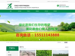 石家庄草坪_河北草坪_栾城草坪-石家庄中景草坪种植基地