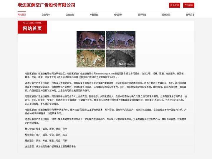 老边区解空广告股份有限公司