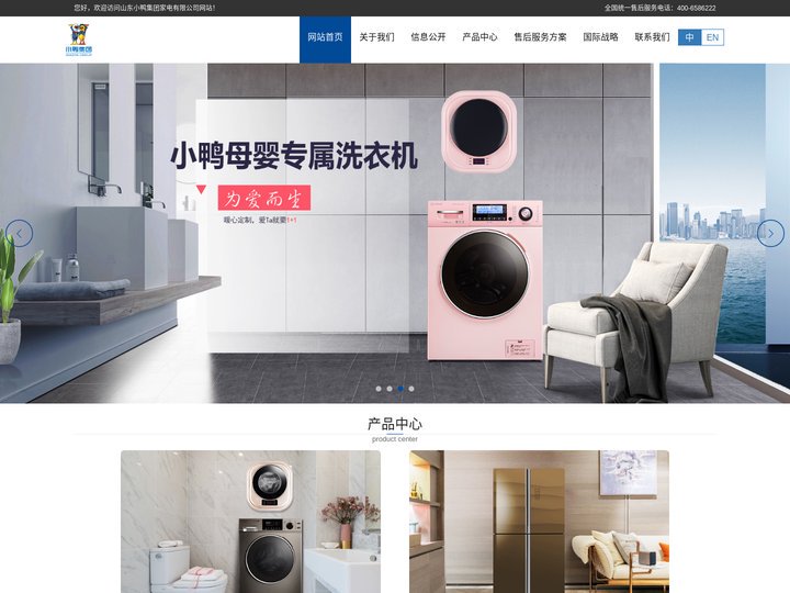 山东小鸭集团家电有限公司