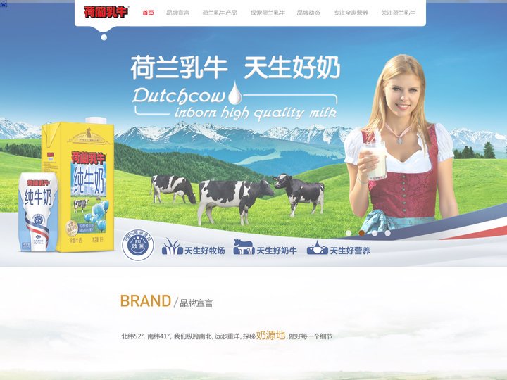 荷兰乳牛
