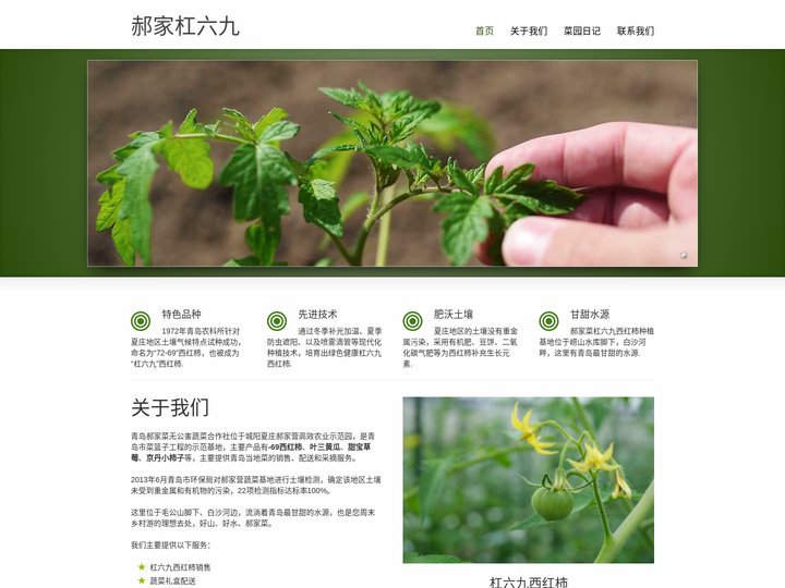 青岛杠六九西红柿，到郝家72-69西红柿种植基地—正宗夏庄杠六九