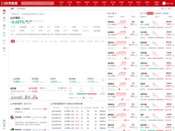 山子高科股票(000981山子高科股票股吧)