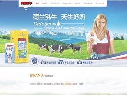 荷兰乳牛