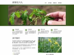青岛杠六九西红柿，到郝家72-69西红柿种植基地—正宗夏庄杠六九