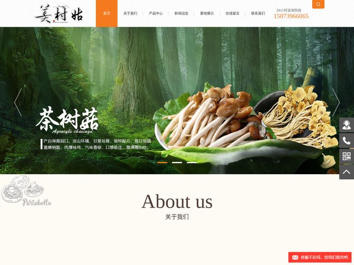 雪峰蜜桔_羊肚菌厂家_茶树菇基地_鹿茸菇基地-湖南美村姑农业发展有限公司
