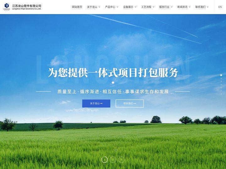 压力管道元件,钢管,化工管件,龙山管件-江苏龙山管件有限公司