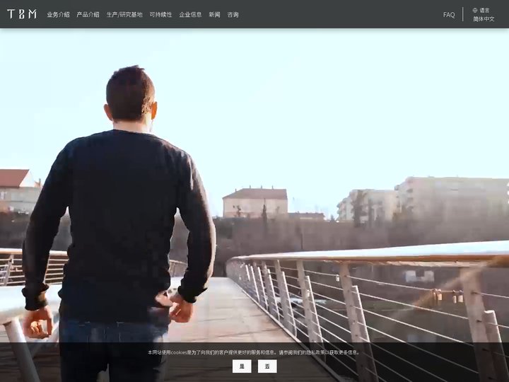 TBM Co., Ltd., Ltd. - 新材料LIMEX及资源回收业务