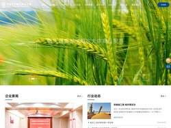 郑州粮食批发市场有限公司-一流大宗农产品供应链服务商
