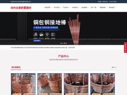 铜包钢接地棒,铜包钢绞线,接地模块,电解离子接地极-沧州永泰防雷器材有限公司
