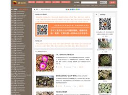 爱仙园_关于仙人掌和多肉植物的一切