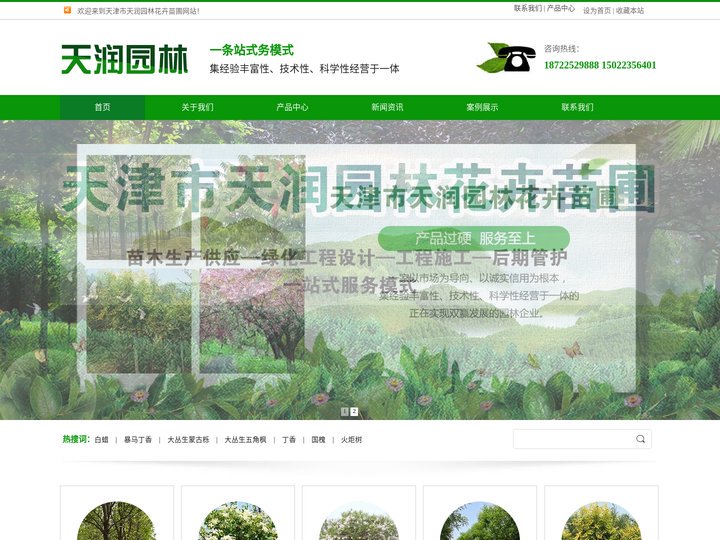 天津苗木-苗圃-苗木基地-天津市天润园林花卉苗圃