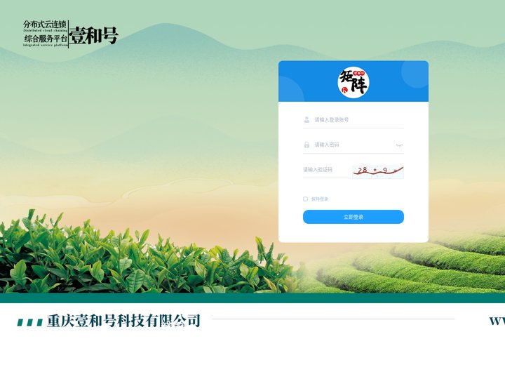 壹和号矩阵