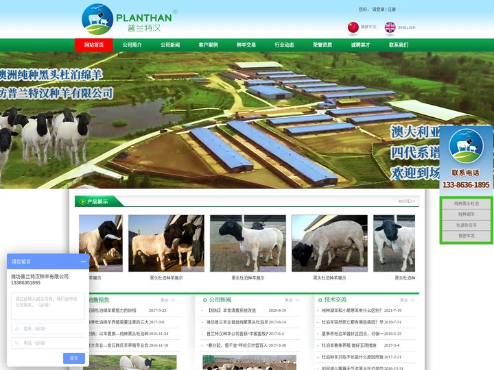 杜泊绵羊|萨福克羊|种羊|湖羊厂家_潍坊普兰特汉种羊有限公司官网